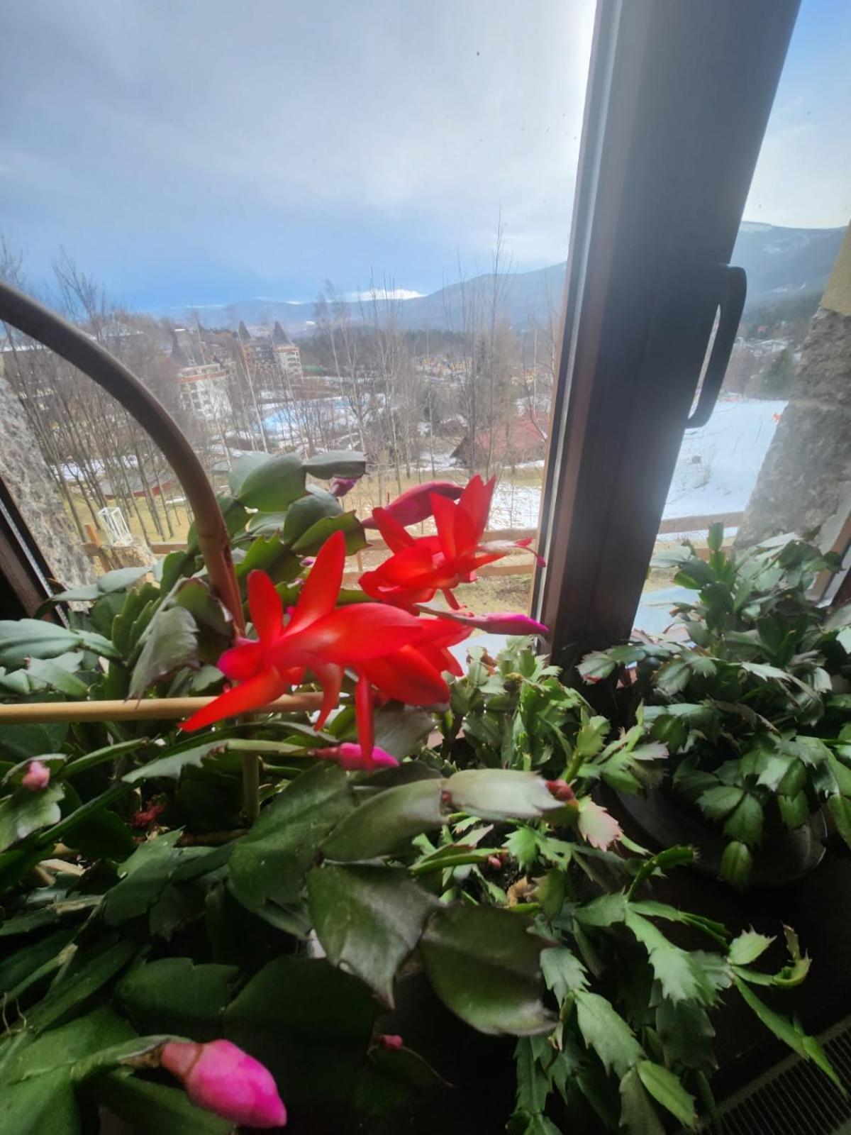 Bed & Breakfast Wichrowe Wzgorza